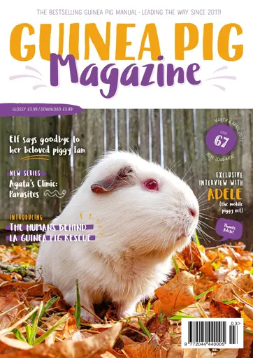 Guinea Pig Magazine Preview