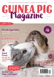 Guinea Pig Magazine Issue 70