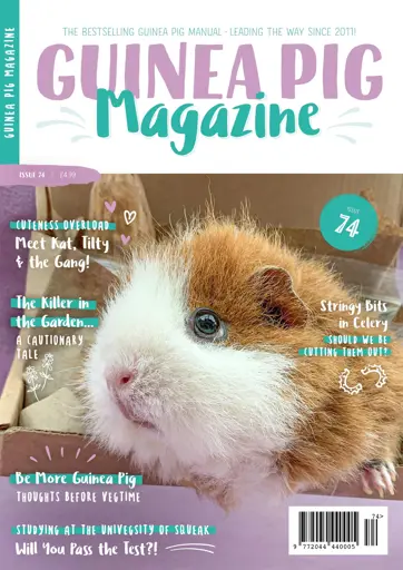 Guinea Pig Magazine Preview