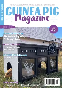 Guinea Pig Magazine Issue 75