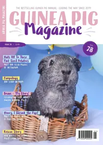 Guinea Pig Magazine Issue 78 (Jan/Feb)