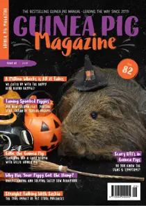 Guinea Pig Magazine issue Issue 82 (Sept/Oct)