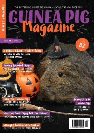 Guinea Pig Magazine Preview