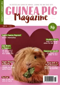 Guinea Pig Magazine 
                issue Issue 90 (Jan/Feb)