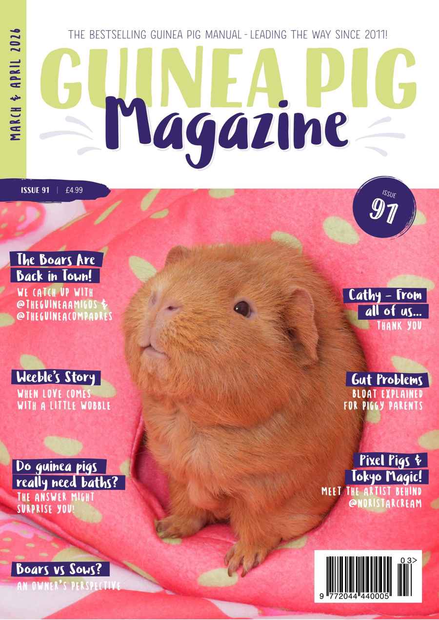 Guinea Pig Magazine issue Issue 91 (Mar/Apr)