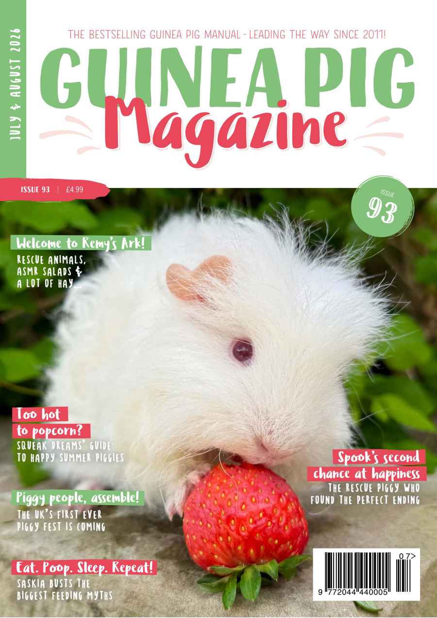 Guinea Pig Magazine issue Issue 93 (July/Aug)