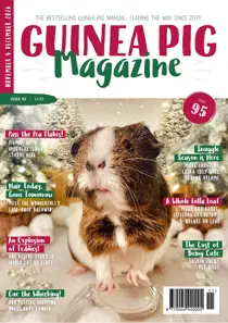 Guinea Pig Magazine issue Issue 95 (Nov/Dec)