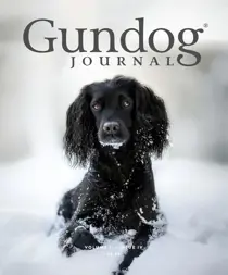 Volume II Issue IV 
                issue Volume II Issue IV