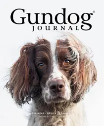 Volume III Issue V 
                issue Volume III Issue V