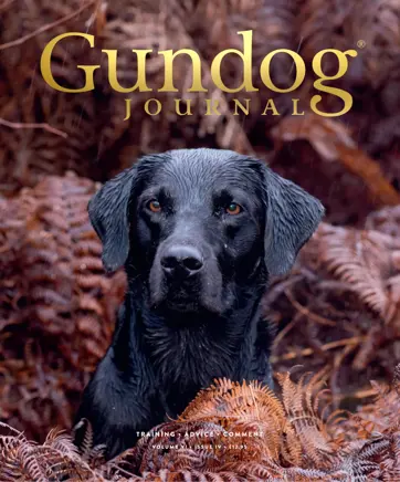 Gundog Journal Preview