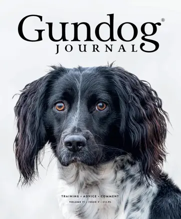 Gundog Journal Magazine Subscriptions and Volume VI Issue V Issue