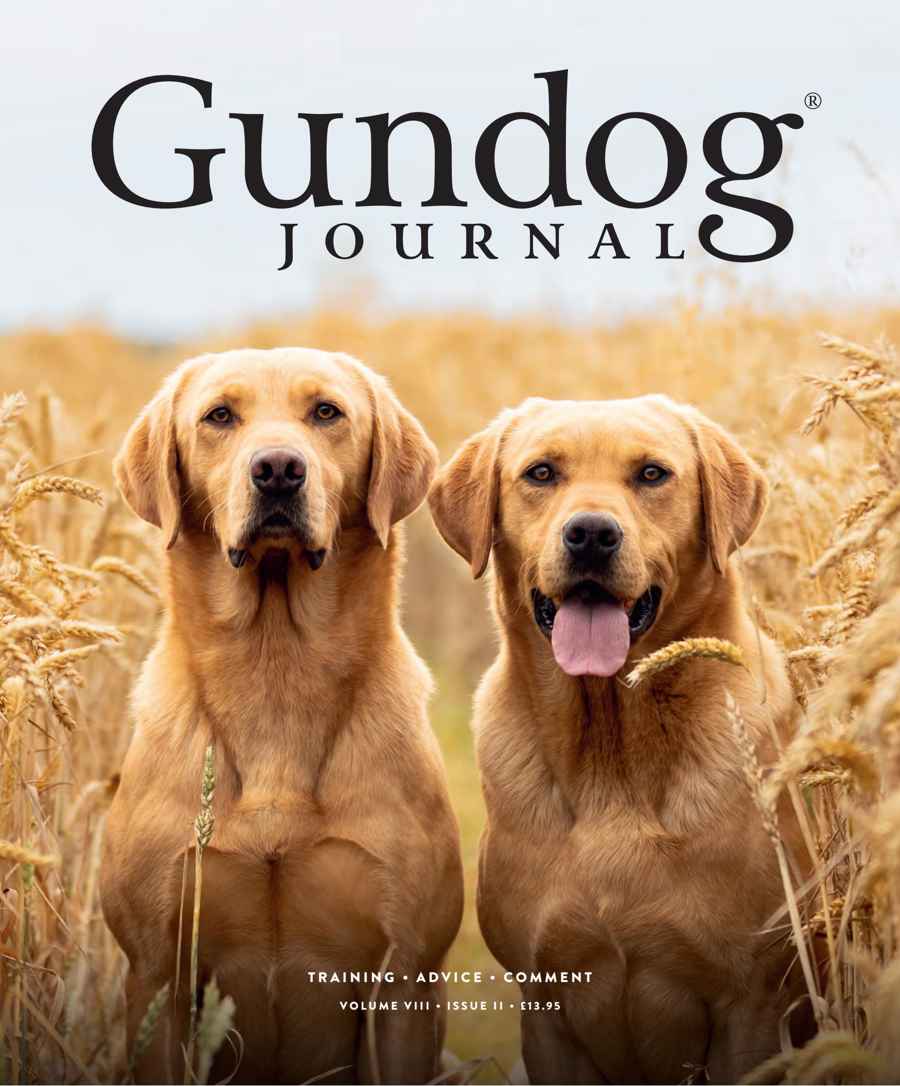 Gundog Journal issue Volume VIII Issue II