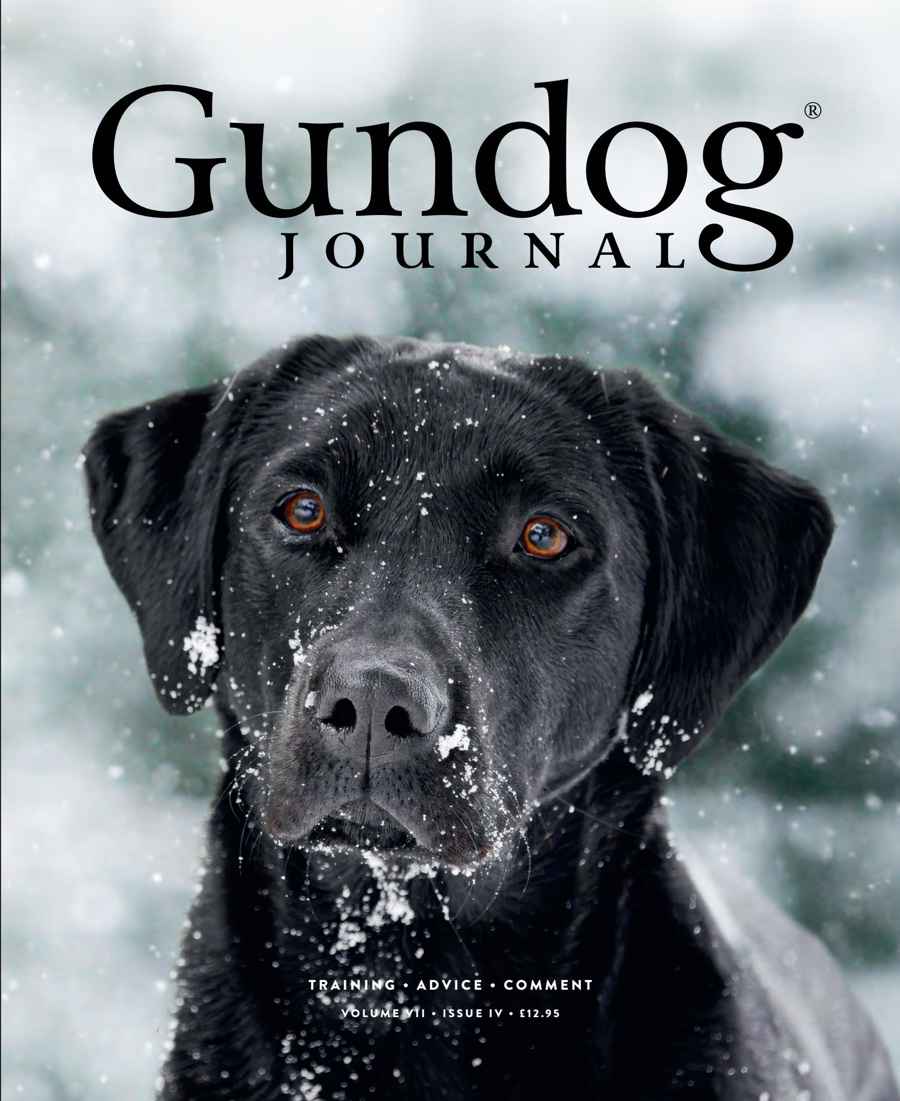 Gundog Journal issue Volume VII Issue IV