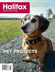 June 2015 
                issue June 2015