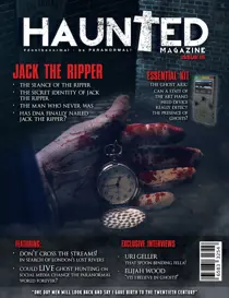 Issue 15 
                issue Issue 15