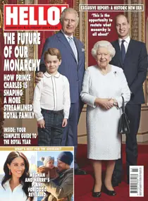 1617 
                issue 1617