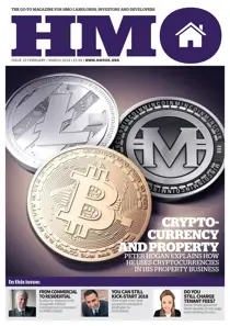 HMO Issue 10 
                issue HMO Issue 10