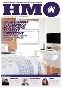 HMO Issue 20 
                issue HMO Issue 20