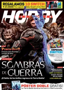 309 
                issue 309