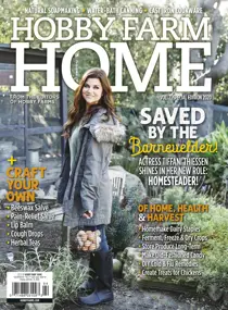 Best of HF Home 
                issue Best of HF Home