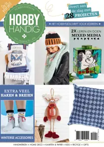 HobbyHandig 219 
                issue HobbyHandig 219