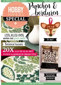 HobbyHandig 222 
                issue HobbyHandig 222