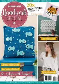 HobbyHandig 225 
                issue HobbyHandig 225