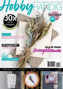 HobbyHandig 228 
                issue HobbyHandig 228