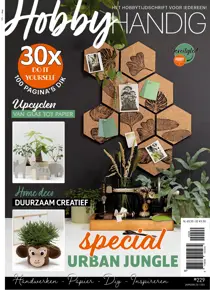 HobbyHandig 229 
                issue HobbyHandig 229