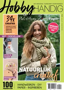 HobbyHandig issue HobbyHandig 249 handwerkspecial