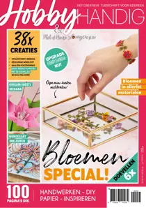 HobbyHandig 253 special 
                issue HobbyHandig 253 special