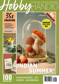 HobbyHandig 255 
                issue HobbyHandig 255