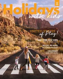 HWK 58 - USA Flip 
                issue HWK 58 - USA Flip