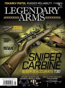 IMS Sum/Fall 2017 
                issue IMS Sum/Fall 2017