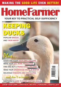 November 2016 issue 
                issue November 2016 issue