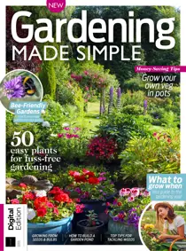 Home Interests Bookazine 
                issue Home Interests Bookazine