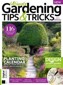 Ultimate Garden Tips & Tricks First Edition 
                issue Ultimate Garden Tips & Tricks First Edition