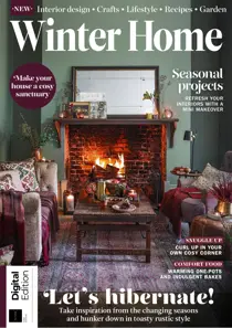 Winter Home First Edition 
                issue Winter Home First Edition