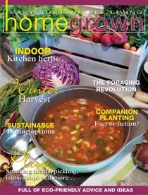 16 
                issue 16