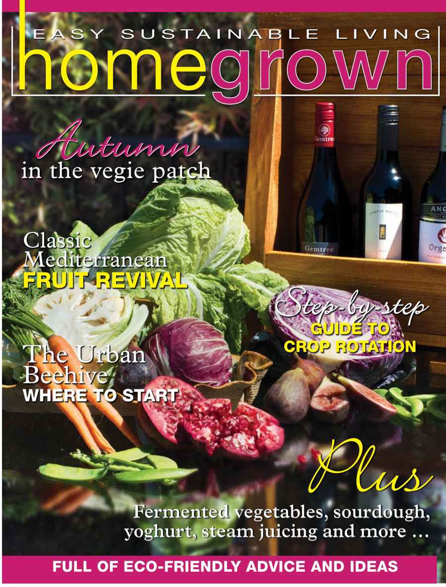 HomeGrown issue Issue 19