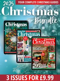 2025 Christmas Bundle 
                issue 2025 Christmas Bundle