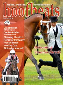 AprMay 2017 
                issue AprMay 2017