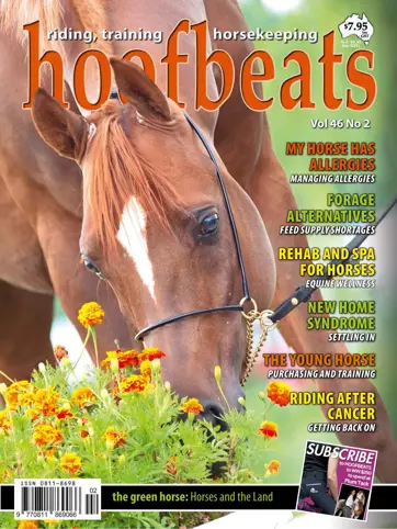 Hoofbeats Preview