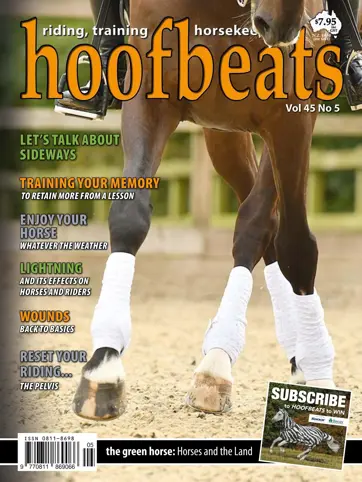 Hoofbeats Preview