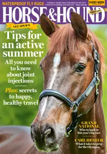 11 April 2024 
                issue 11 April 2024