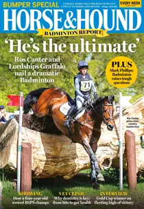 11 May 2023 
                issue 11 May 2023