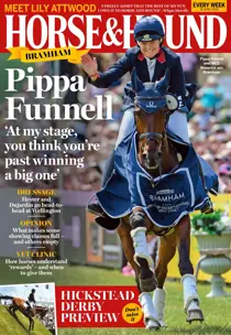 15 Jun 2023 
                issue 15 Jun 2023