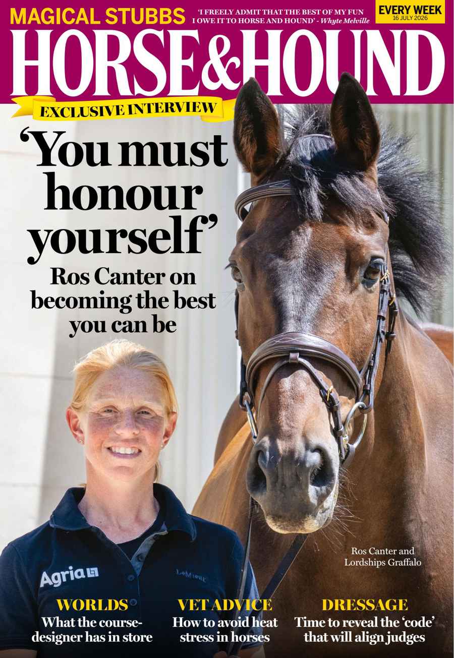 HORSE AND HOUND