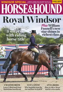 16th May 2019 
                issue 16th May 2019