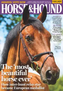 17th October 2019 
                issue 17th October 2019